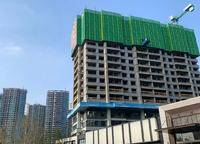 美盛金水印