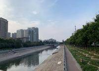 美盛金水印