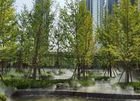 大正水晶森林