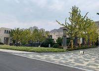 朗悅公園府