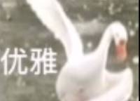遠(yuǎn)洋瑞林宸章