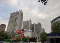金林雙璽