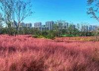 鄭州華僑城
