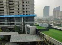 美盛金水印