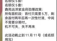 遠洋瑞林宸章