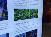 鄭地美景紫華城