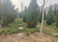 華潤置地凱旋門