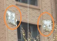 正商家河家