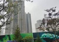 鄭地美景東望（東望云朗）