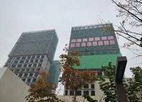 鄭地美景東望（東望云朗）