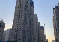 金林雙璽