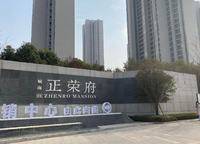 城南正榮府