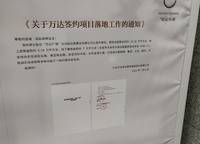 藍城鳳起梧桐