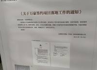 藍城鳳起梧桐