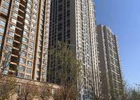 和潤林湖美景