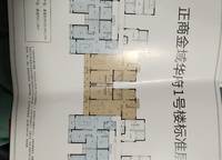 金域華府
