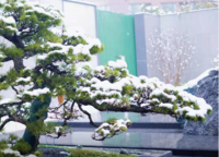 綠城誠(chéng)園