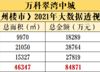 萬科翠灣中城MAX