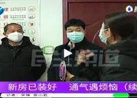 浩創(chuàng)梧桐春曉