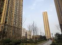 金科城
