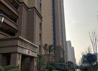 金科城