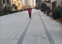 盛澳金尊府