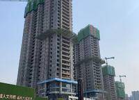美盛金水印