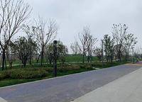 康橋山海云圖
