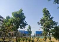 碧桂園鳳凰城