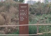 越秀金悅文華