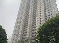 美盛金水印