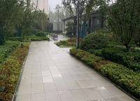 美盛金水印