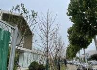 招商時(shí)代錦宸