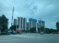 金地西湖春曉