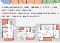 高新和錦蓮序