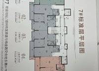 金科北瓏鉑樾