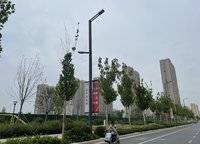 碧桂園西湖