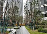美盛教育港灣