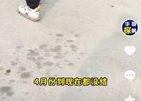 新城時(shí)光印象天昱