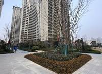 美盛教育港灣
