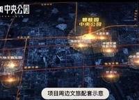 碧桂園中央公園