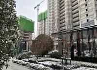 美盛金水印