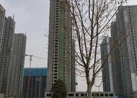 華瑞紫韻城