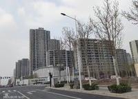 濱河春曉