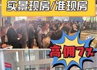 萬科新田湖與城