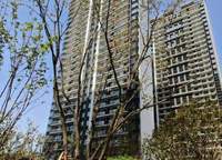 大正水晶森林