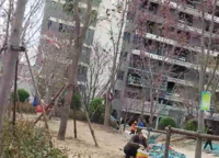 大正水晶森林