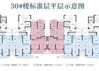 融僑美域