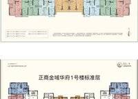 金域華府