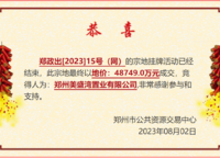 美盛金水印